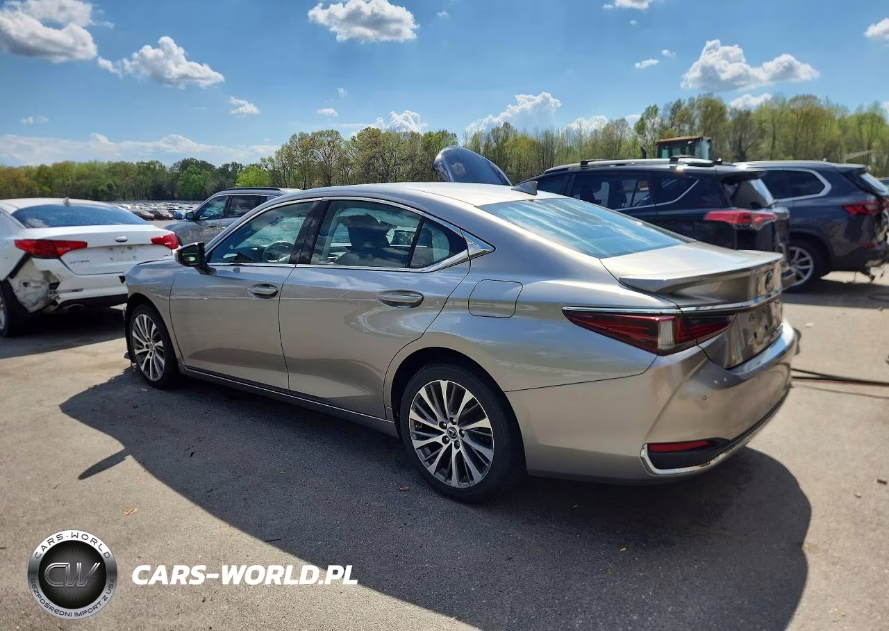 2021 Lexus Es 250 Base VIN:58AD11D18MU005070 - 2