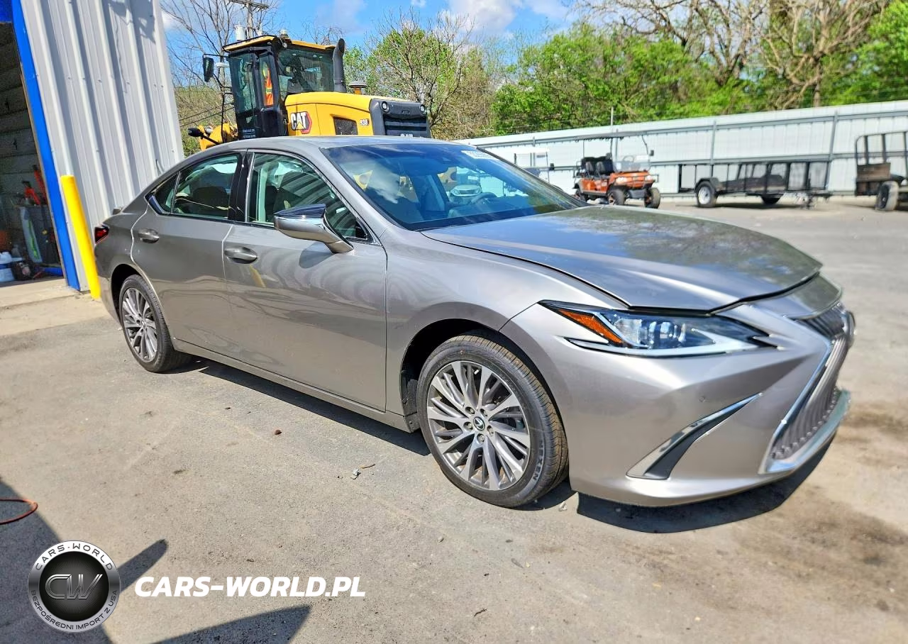 2021 Lexus Es 250 Base VIN:58AD11D18MU005070 - 4