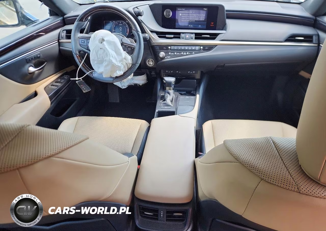 2021 Lexus Es 250 Base VIN:58AD11D18MU005070 - 8