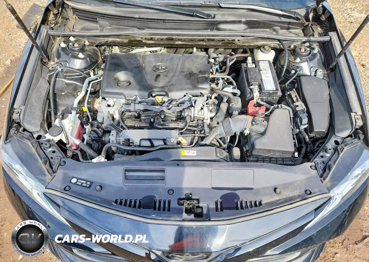 2020 Toyota Camry Le VIN:4T1C11AK4LU381859 - 11