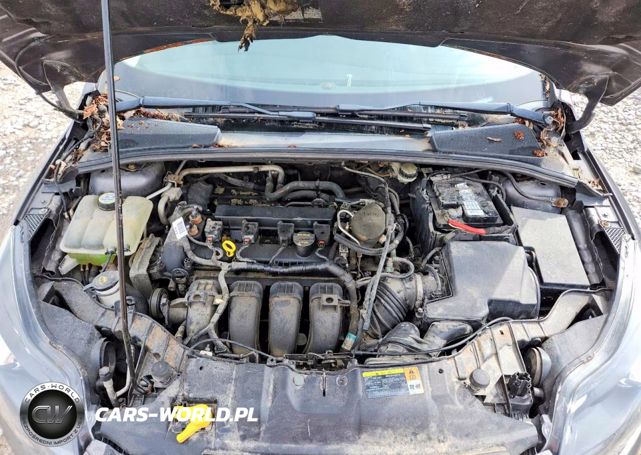 2013 Ford Focus 4D Se VIN:1FADP3K22DL247723 - 11