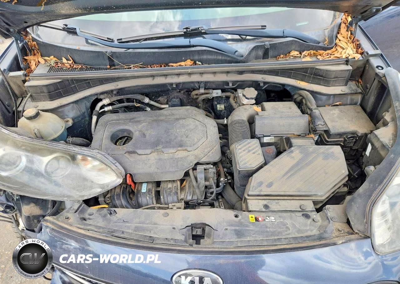 2019 Kia Sportage 4D Ex VIN:KNDPM3AC0K7579398 - 12