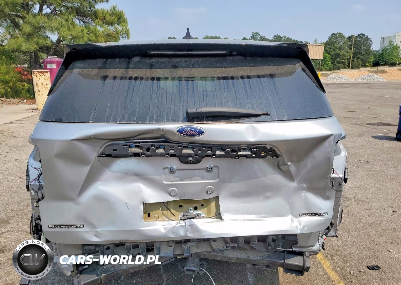 2023 Ford Explorer Police Interceptor VIN:1FM5K8AB6PGA80934 - 6