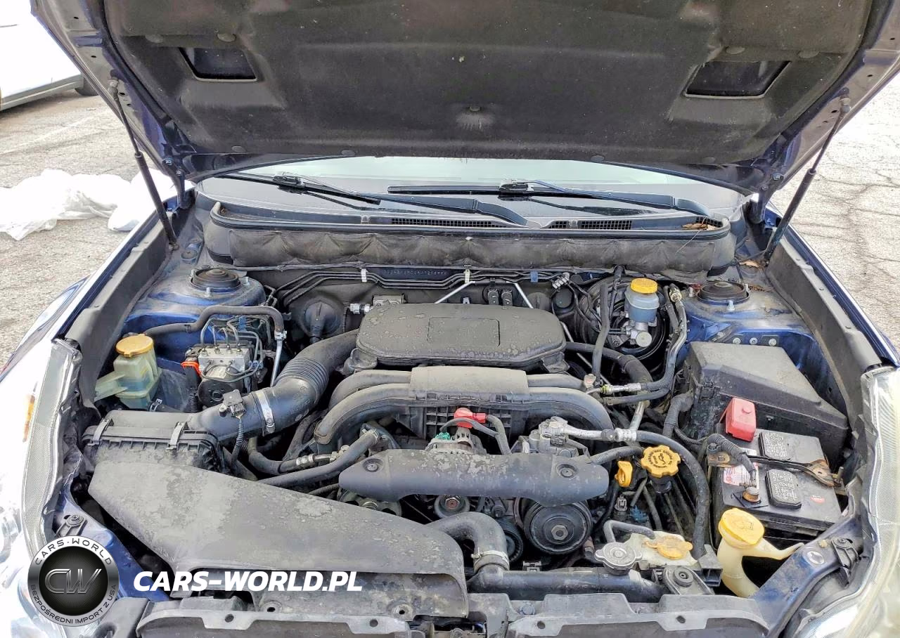 2010 Subaru Outback 2.5I Limited VIN:4S4BRBKC0A3329889 - 12