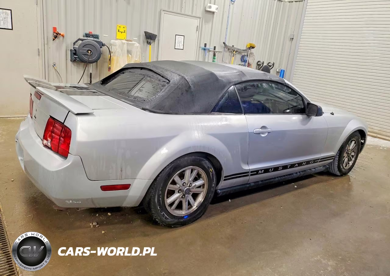 2006 Ford Mustang VIN:1ZVFT84NX65104767 - 3