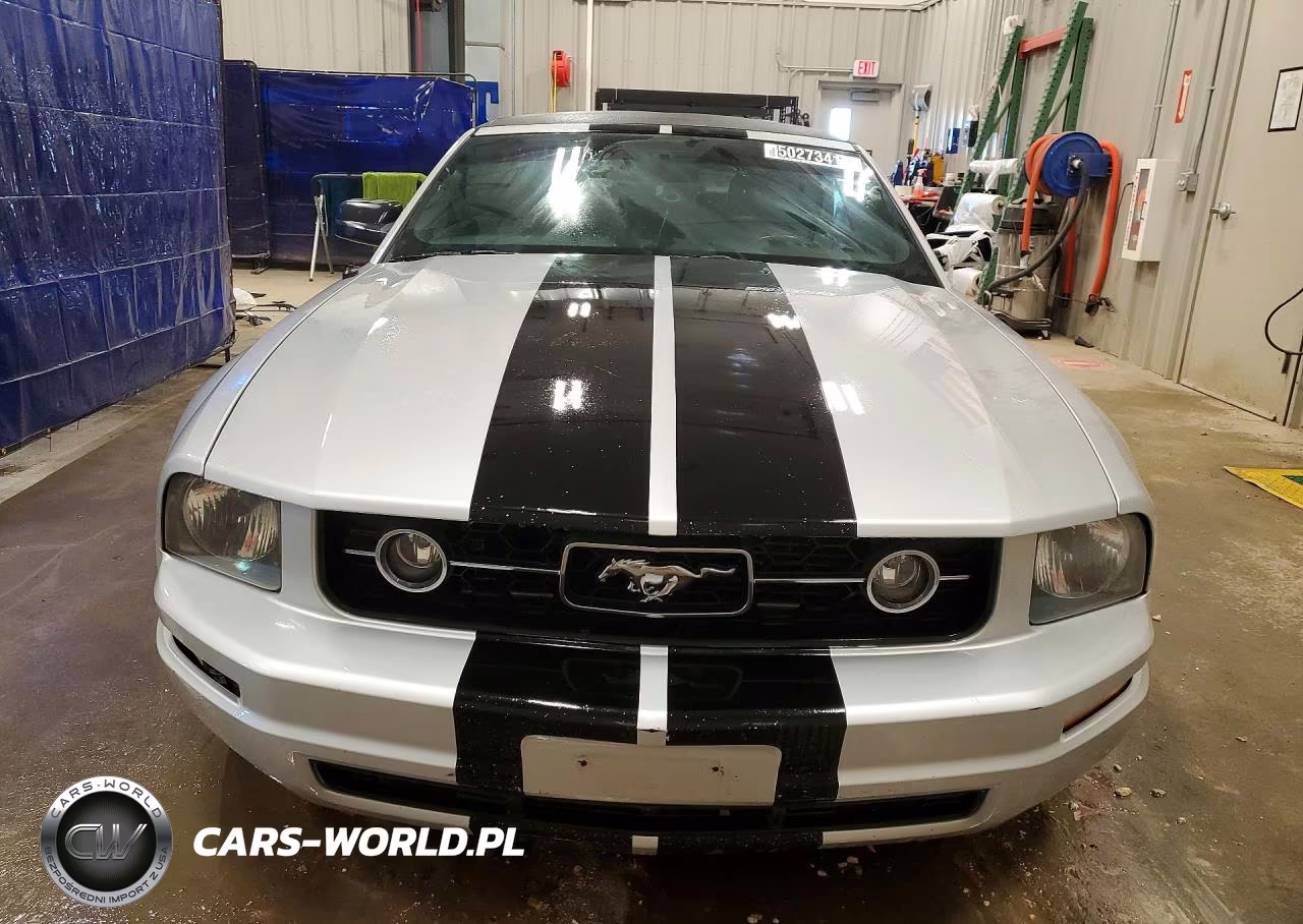 2006 Ford Mustang VIN:1ZVFT84NX65104767 - 5