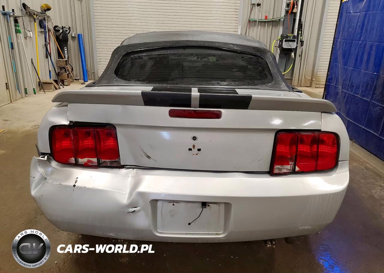 2006 Ford Mustang VIN:1ZVFT84NX65104767 - 6