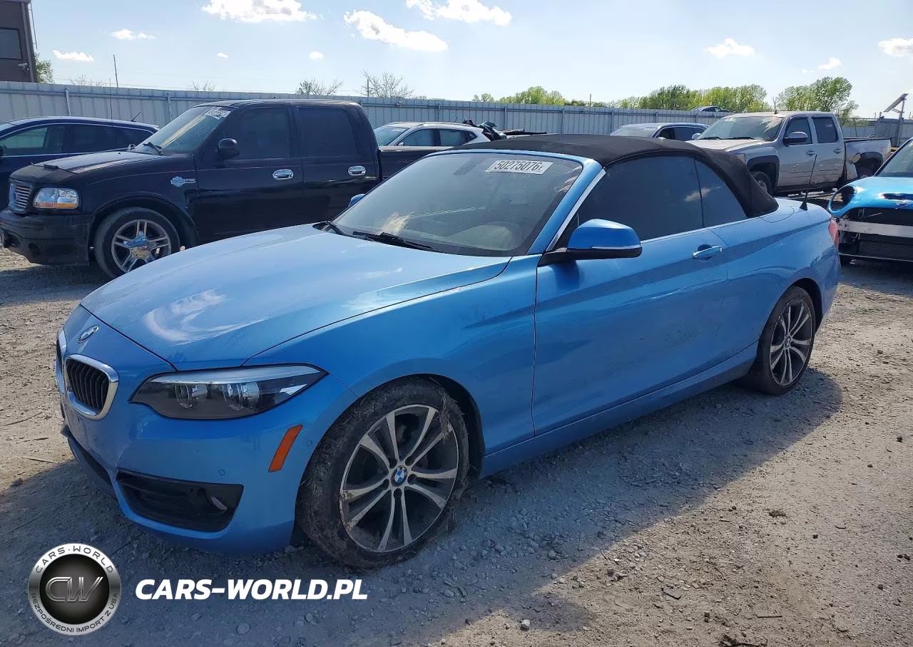 2018 BMW 230Xi