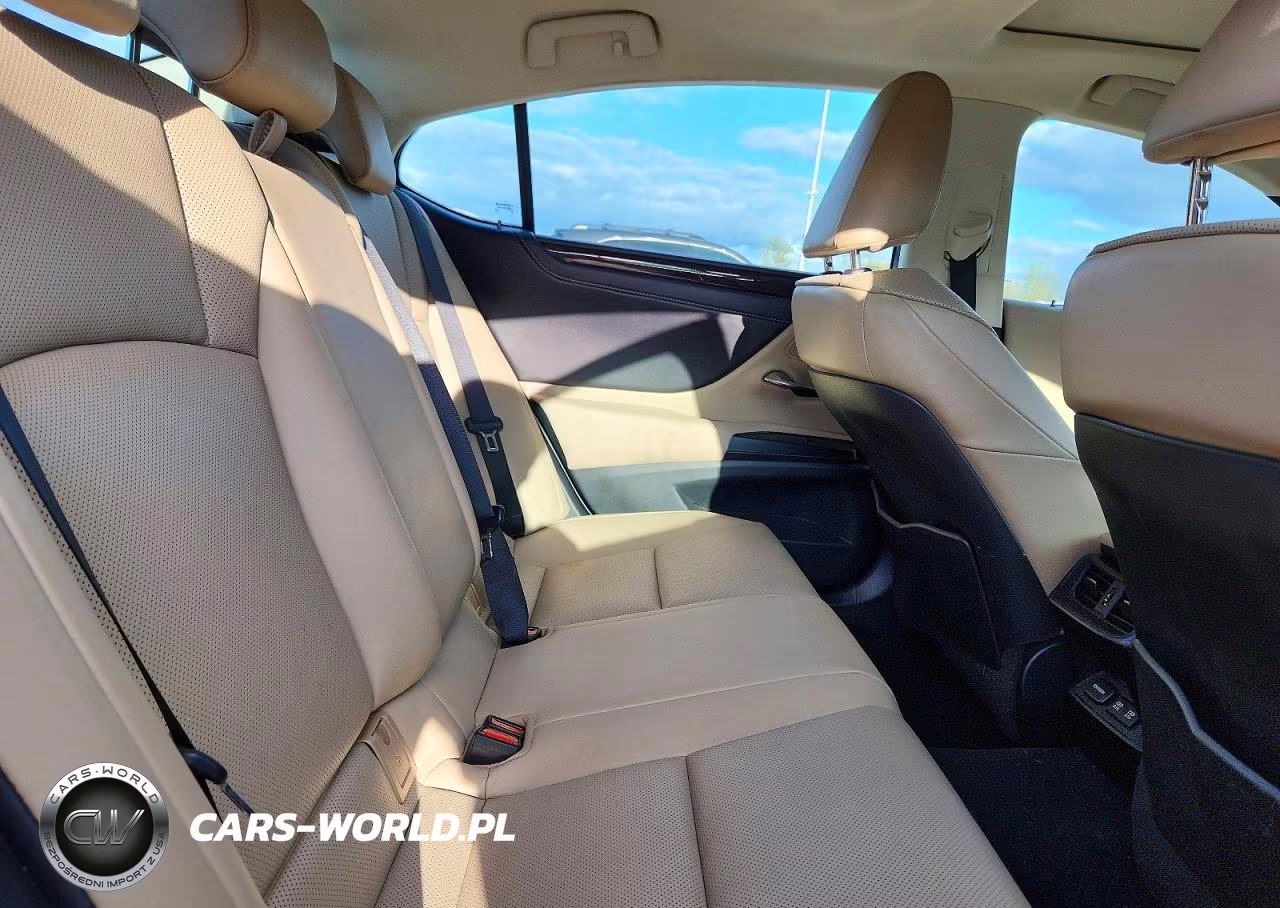 2021 Lexus Es 250 Base VIN:58AD11D15MU003213 - 10
