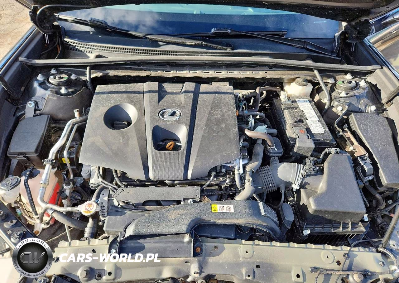 2021 Lexus Es 250 Base VIN:58AD11D15MU003213 - 11