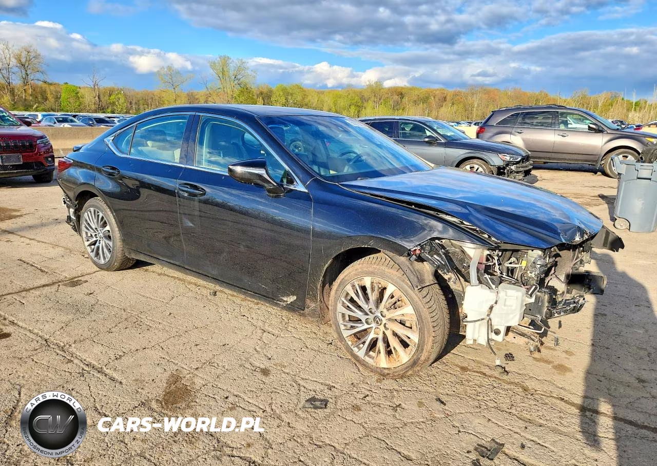 2021 Lexus Es 250 Base VIN:58AD11D15MU003213 - 4