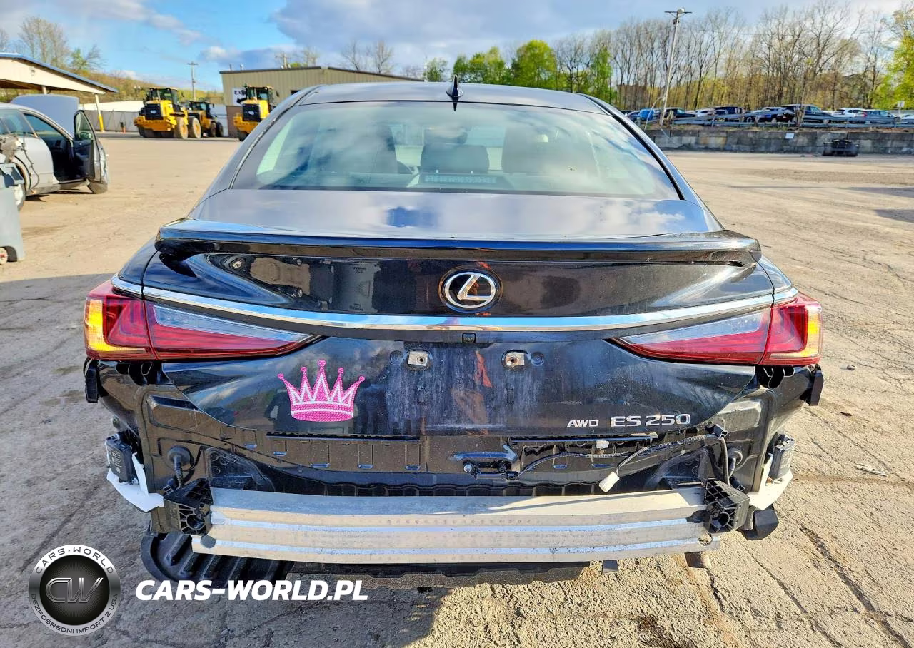 2021 Lexus Es 250 Base VIN:58AD11D15MU003213 - 6