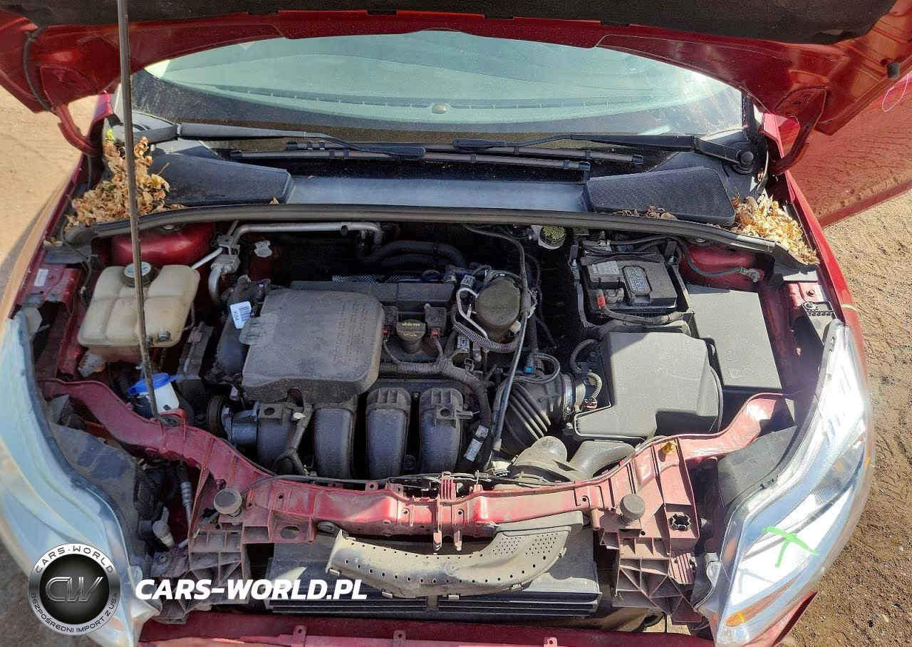 2014 Ford Focus Se VIN:1FADP3F29EL362928 - 11
