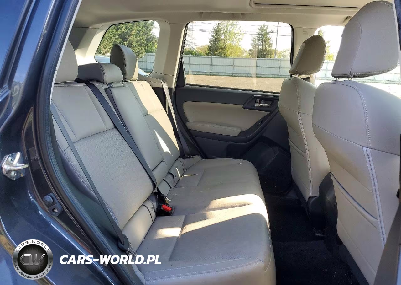 2017 Subaru Forester 2.5I Limited VIN:JF2SJAJC6HH469418 - 10