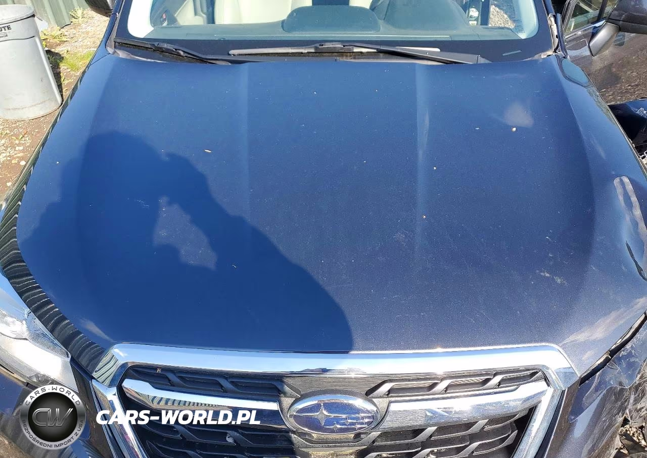 2017 Subaru Forester 2.5I Limited VIN:JF2SJAJC6HH469418 - 11