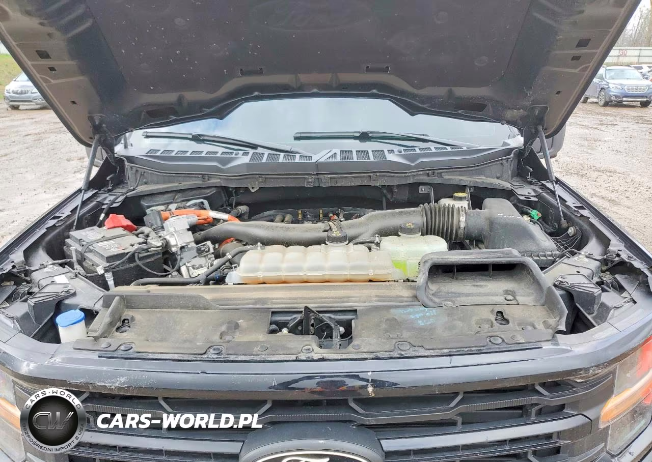 2024 Ford F150 Xlt VIN:1FTFW3LD1RFA61988 - 11