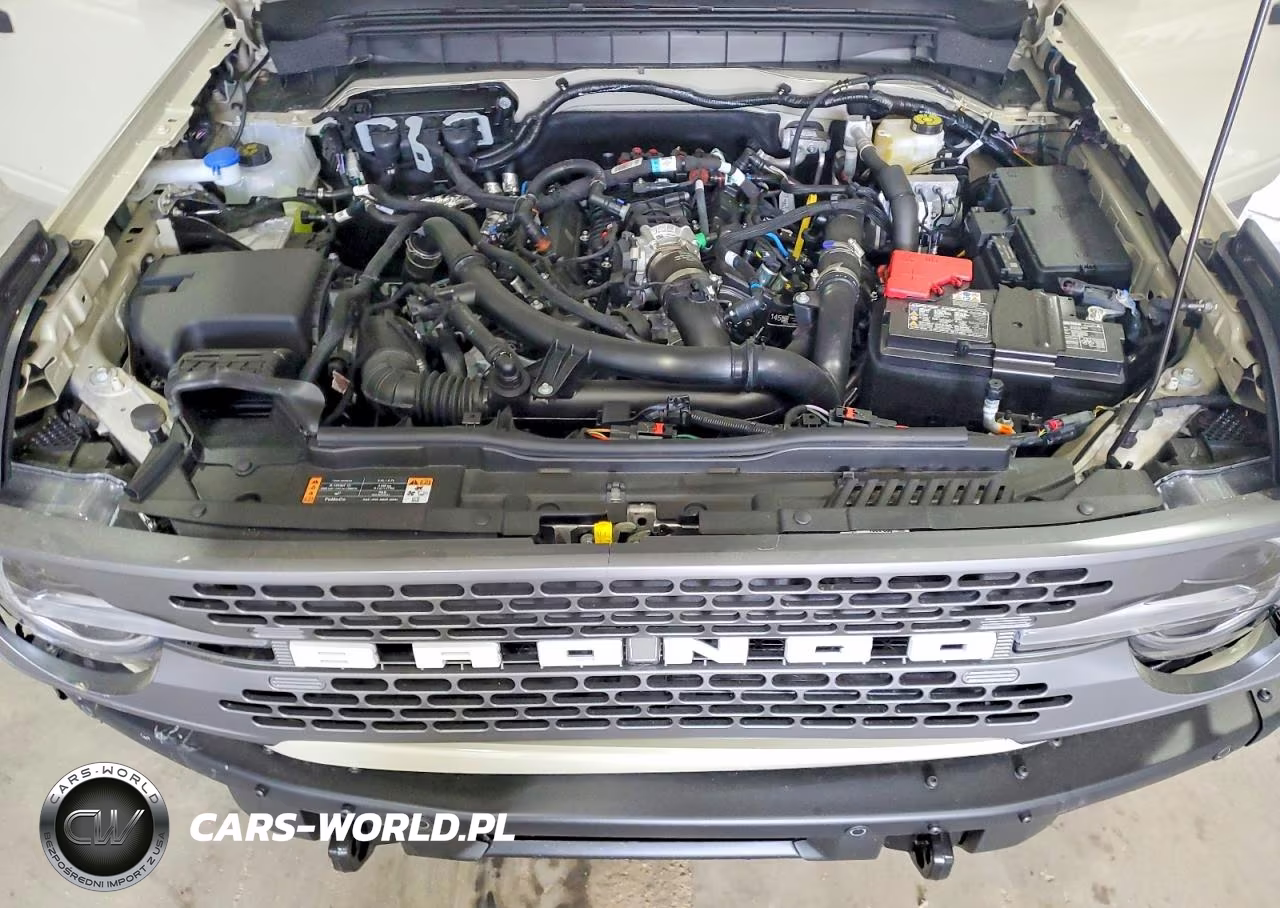 2025 Ford Bronco Badlands VIN:1FMEE9BPXSLB58316 - 12