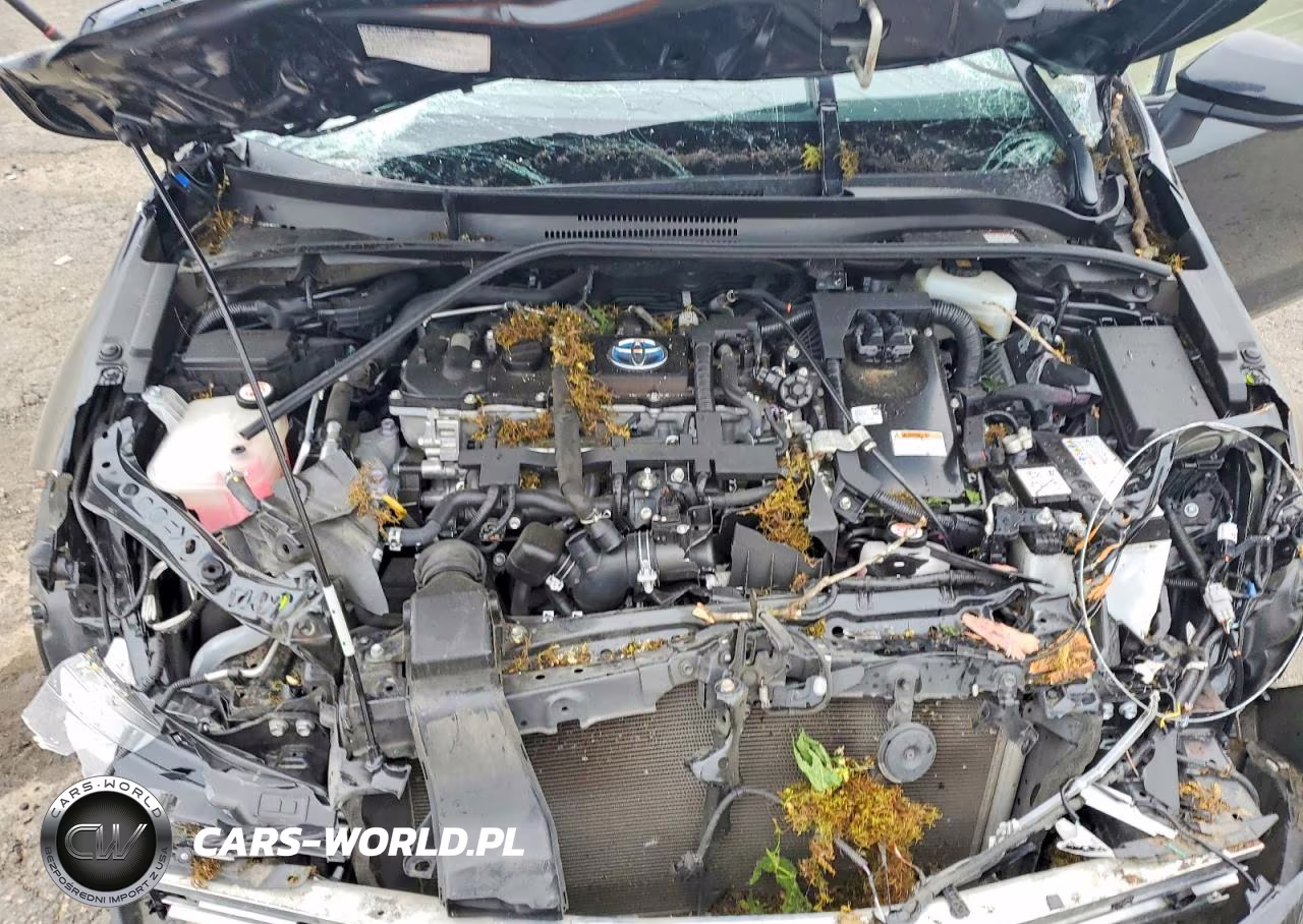 2020 Toyota Corolla Le VIN:JTDEBRBE7LJ023903 - 11