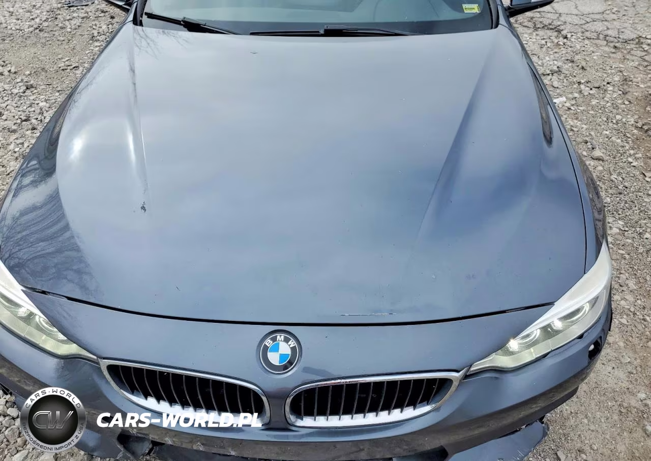 2014 BMW 428 Xi VIN:WBA3N5C53EK197435 - 11