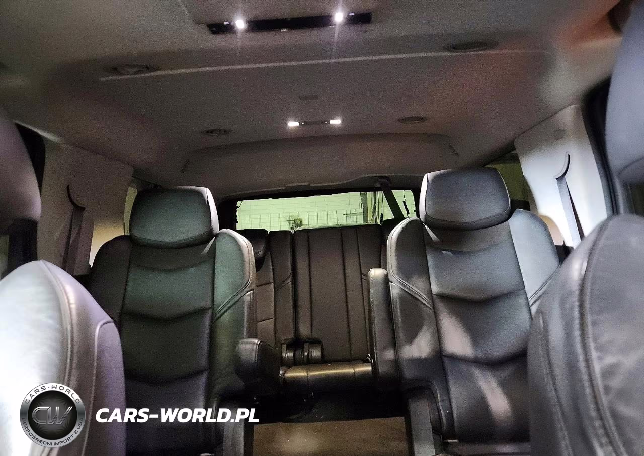 CADILLAC ESCALADE P VIN:1GYS4CKJ0FR294308 - 10