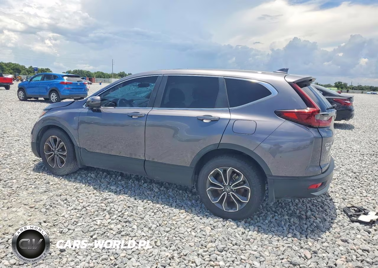 2022 Honda Cr-V Ex VIN:5J6RW1H54NA019559 - 2