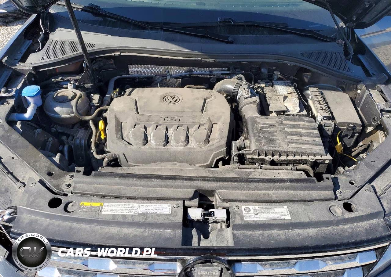 2019 Volkswagen Tiguan Se VIN:3VV2B7AX1KM006799 - 12