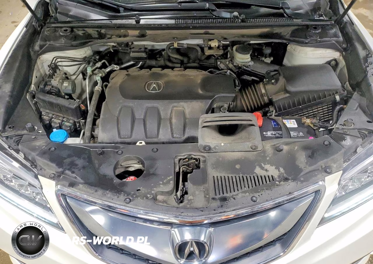 2017 Acura Rdx Advance VIN:5J8TB4H74HL014964 - 11