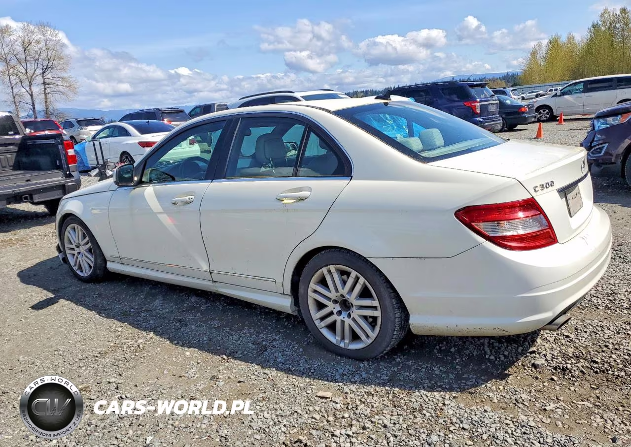 2009 Mercedes-Benz C 300 4Matic VIN:WDDGF81XX9R061894 - 2