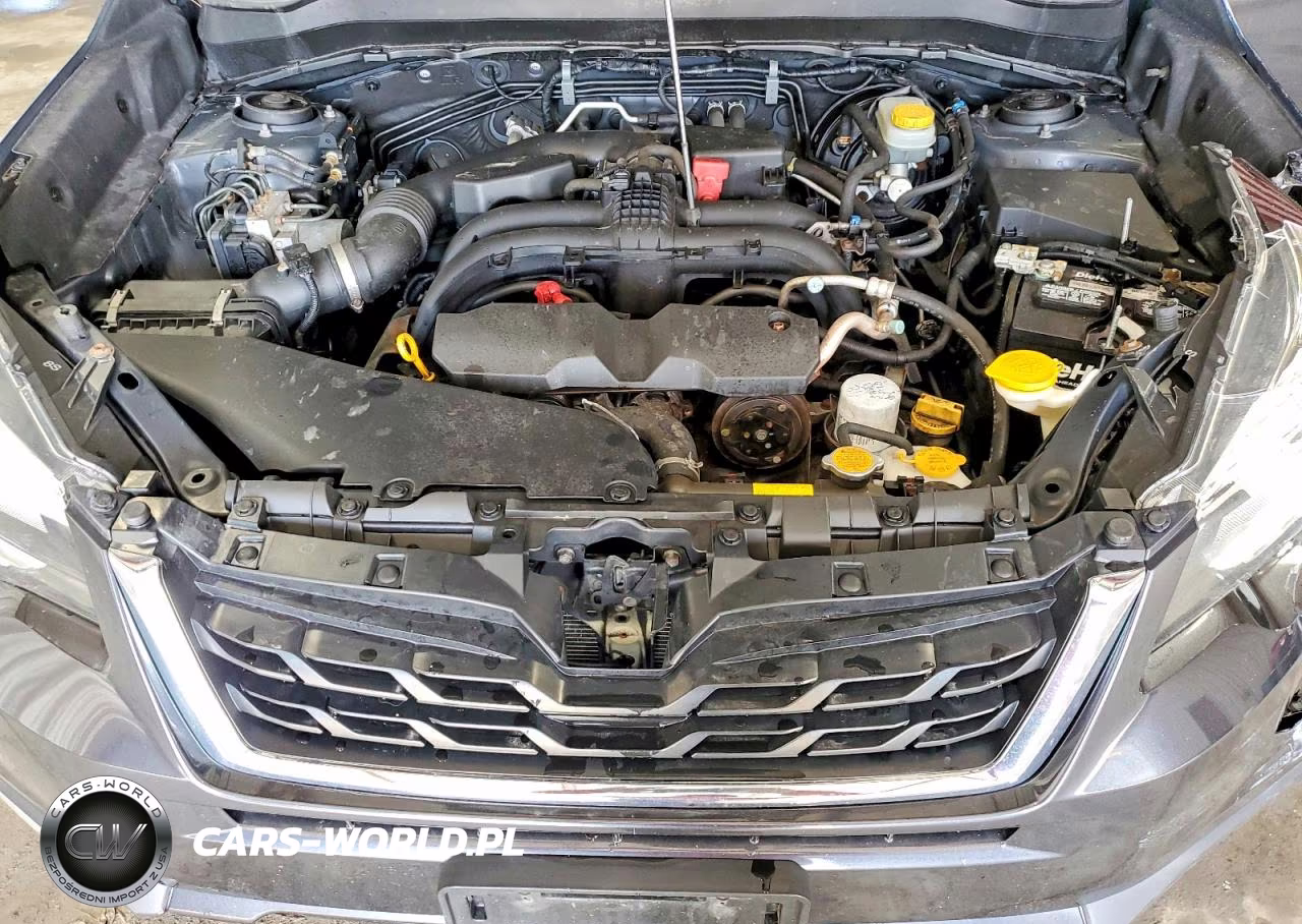 2017 Subaru Forester 2.5I Touring VIN:JF2SJAWC2HH590598 - 12