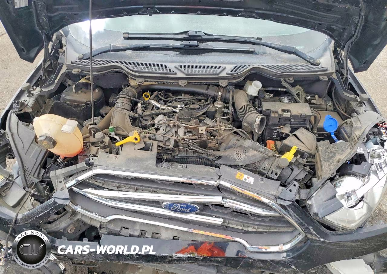 2018 Ford Ecosport Titanium VIN:MAJ3P1VE8JC197203 - 11