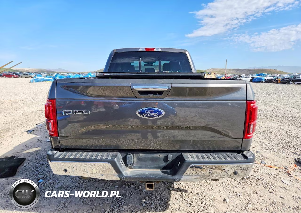 2016 Ford F150 Supercrew VIN:1FTFW1EG4GKE61785 - 6