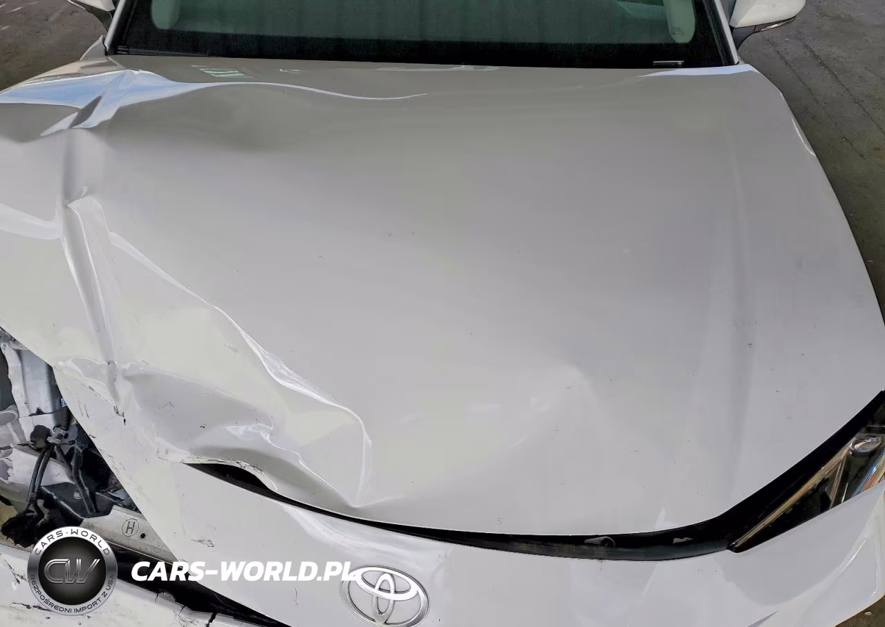 2025 Toyota Camry Le VIN:4T1DAACK0SU624826 - 11