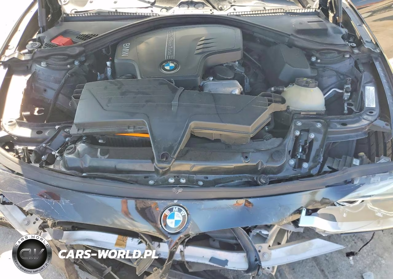 2015 BMW 320 I VIN:WBA3B1G57FNT03364 - 11