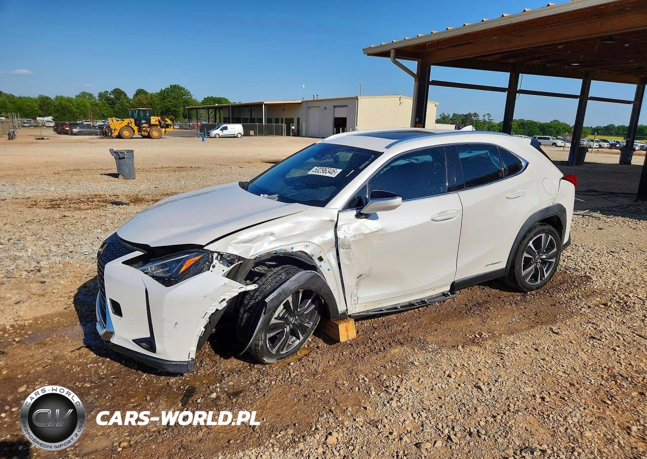 2019 Lexus Ux 250H