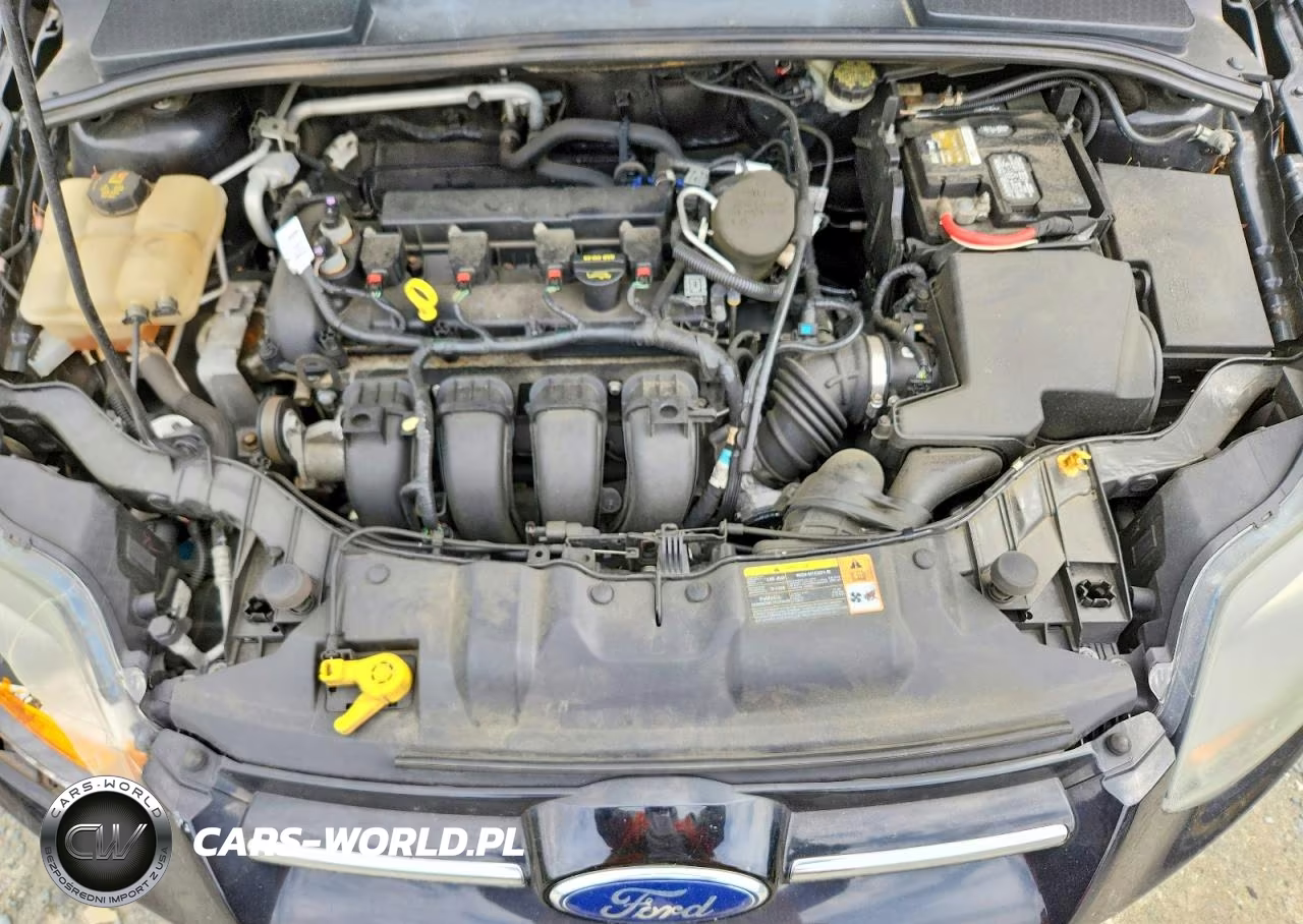 2014 Ford Focus Titanium VIN:1FADP3N2XEL101762 - 11