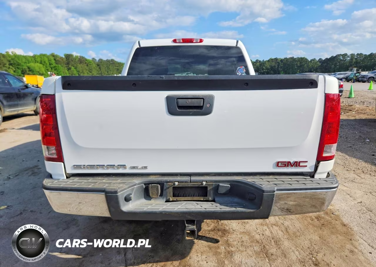 2009 GMC Sierra C1500 Sle VIN:3GTEC23J59G141751 - 6