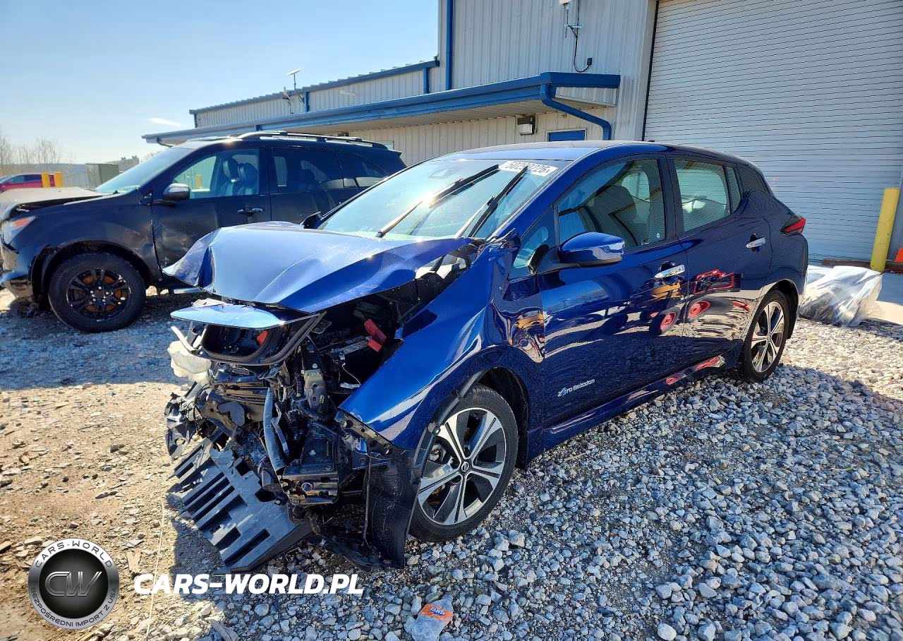 2019 Nissan Leaf Sv
