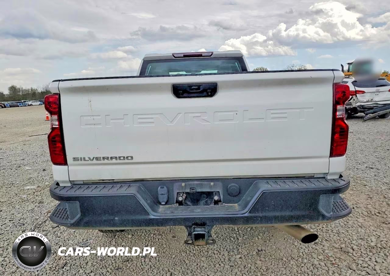 2023 Chevrolet Silverado K2500 Heavy Duty VIN:1GC1YLE79PF208616 - 6