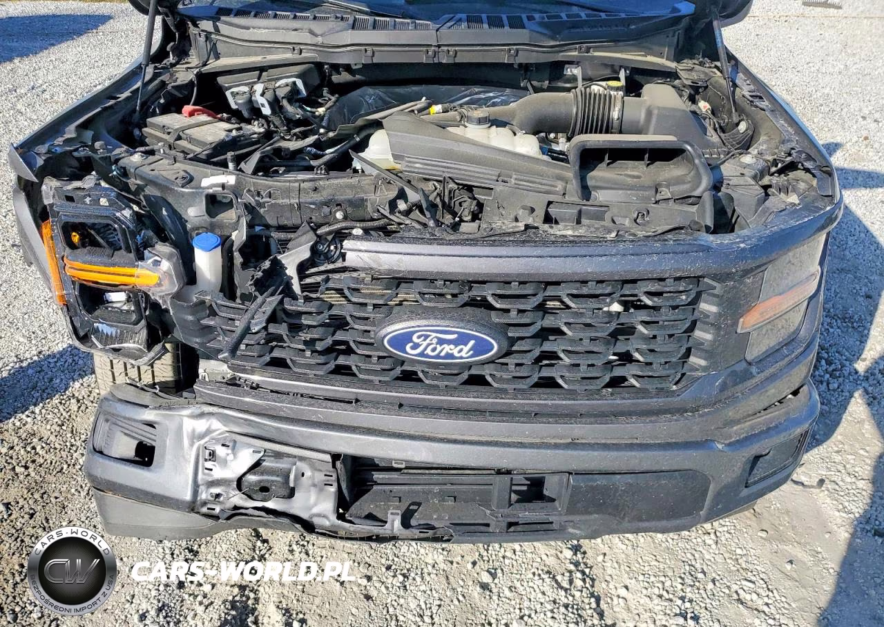 2025 Ford F150 Stx VIN:1FTEW2KP2SKD46696 - 11