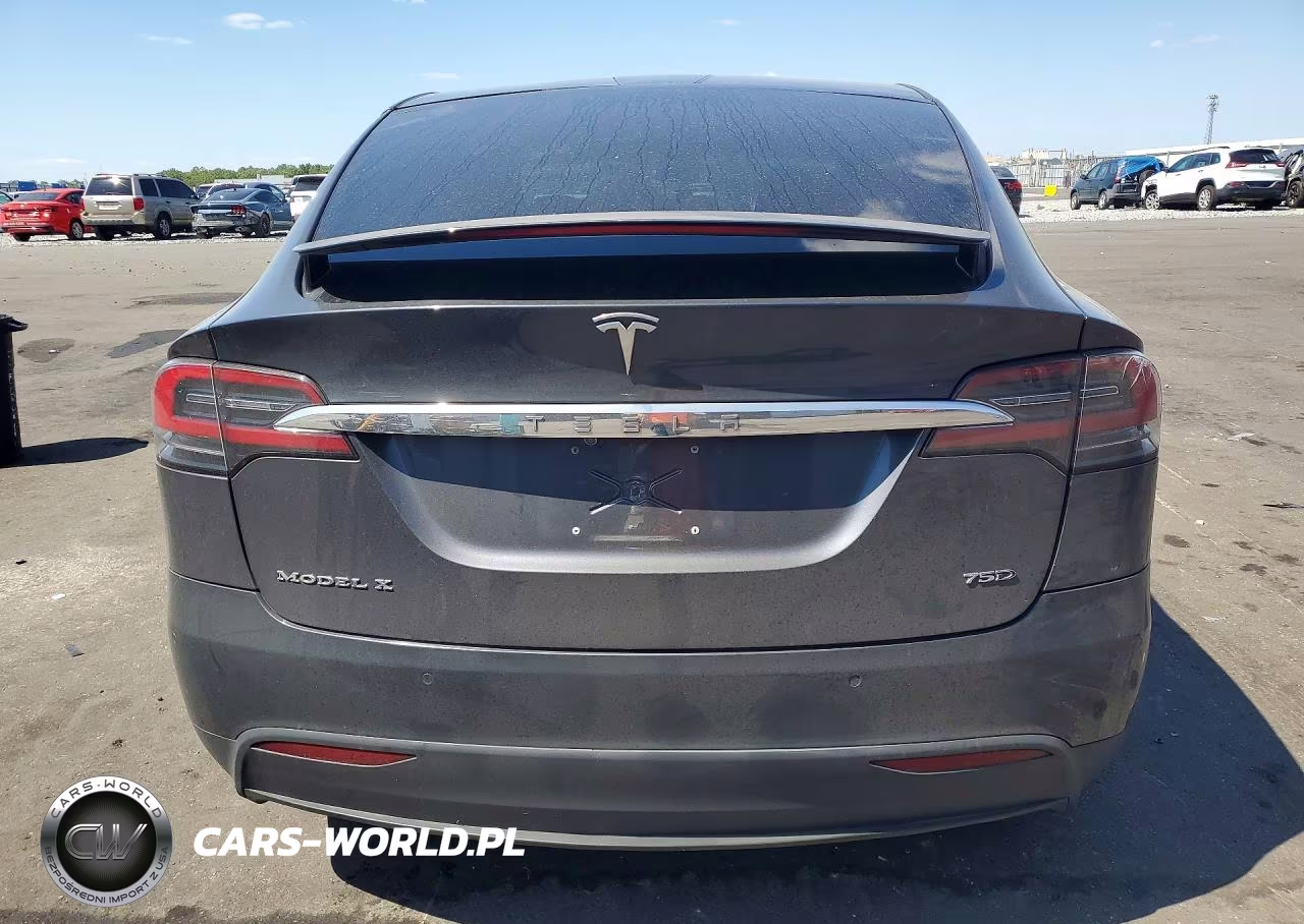 2018 Tesla Model X VIN:5YJXCDE21JF114986 - 6