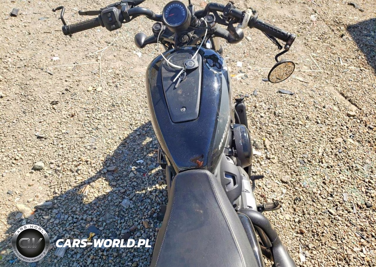 2022 Harley-Davidson Rh975 VIN:1HD1ZH113NB305924 - 6