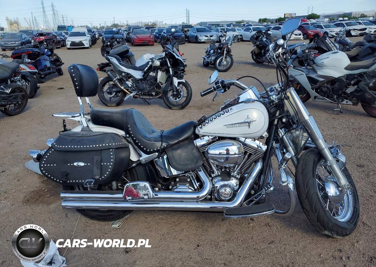 2008 Harley Davidson Flstc
