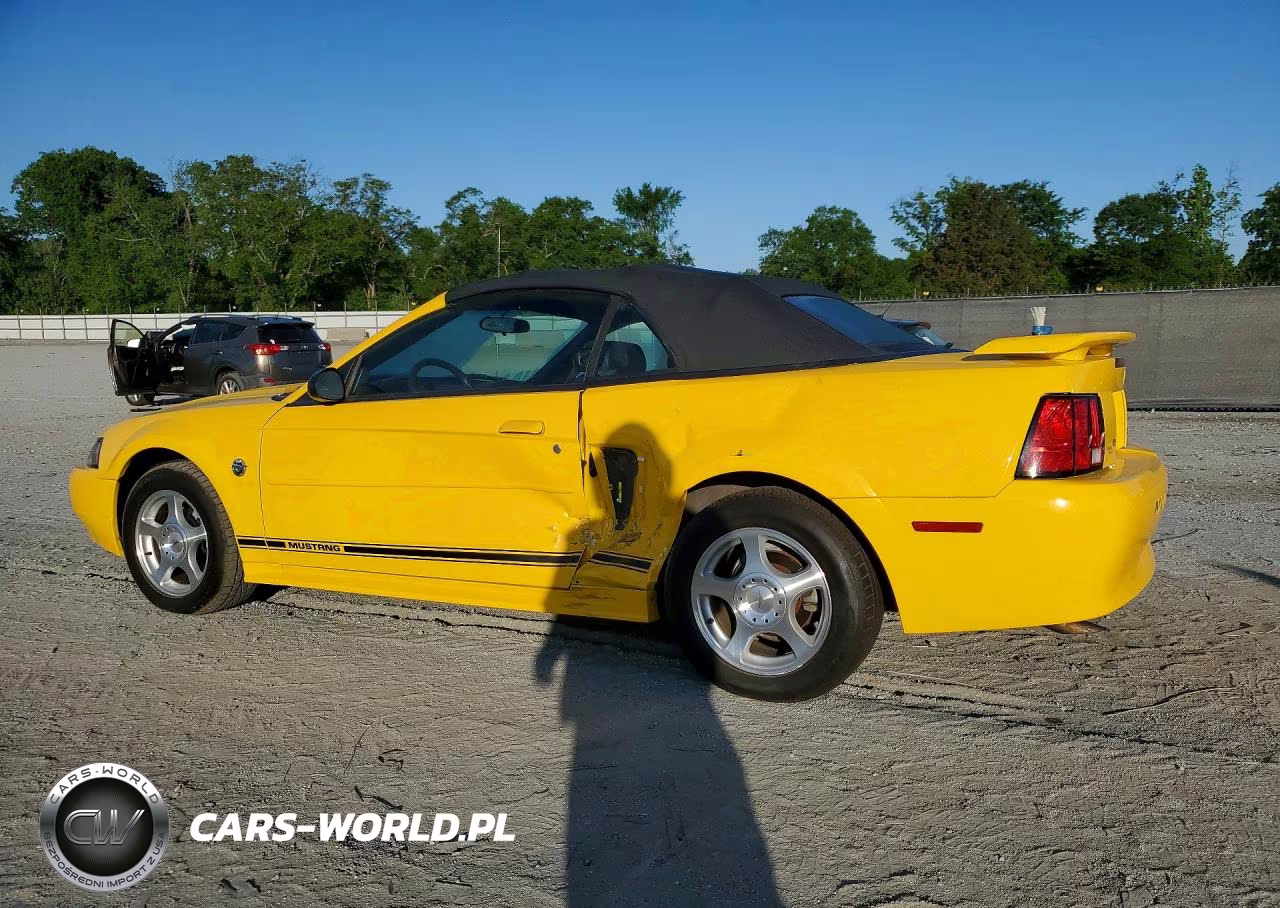 2004 Ford Mustang VIN:1FAFP446X4F179202 - 2