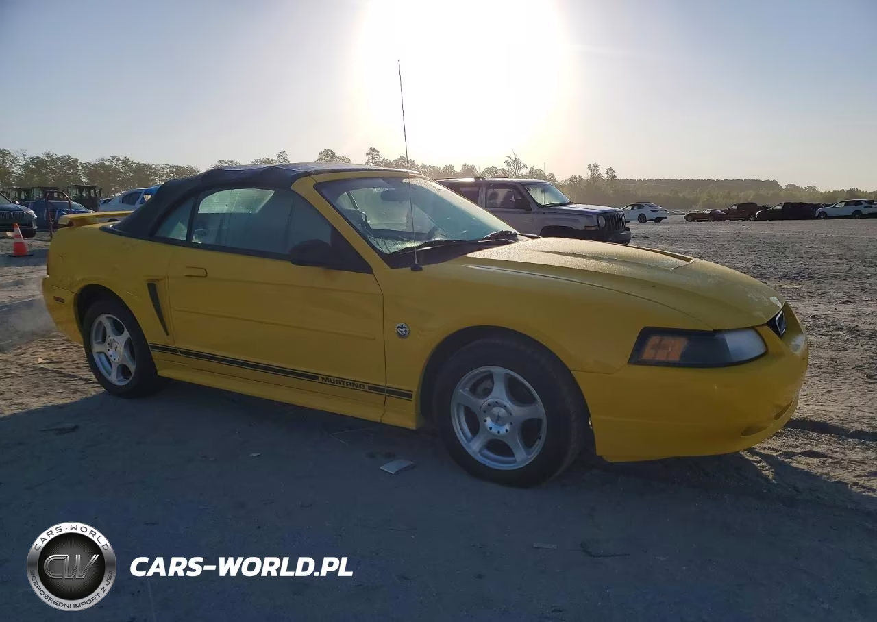 2004 Ford Mustang VIN:1FAFP446X4F179202 - 4