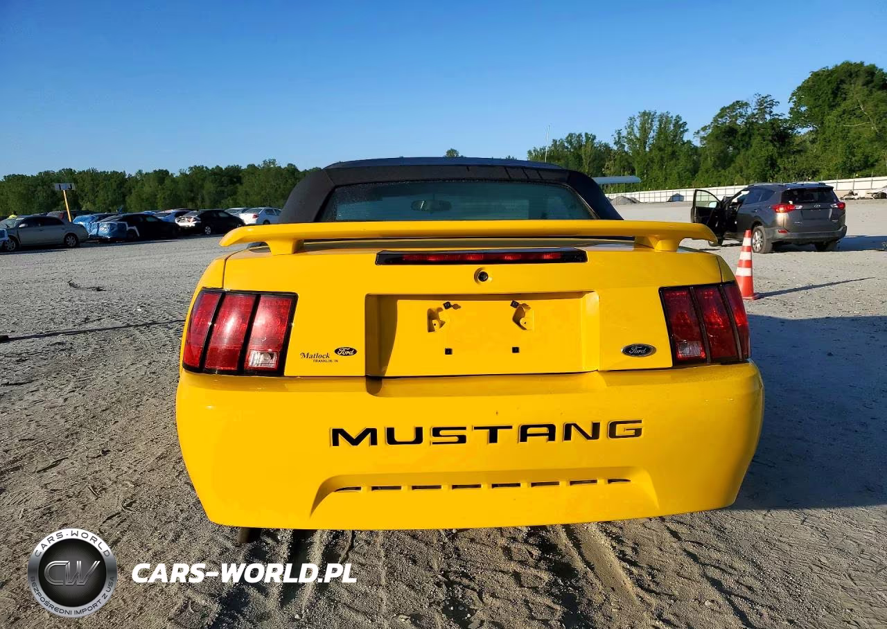 2004 Ford Mustang VIN:1FAFP446X4F179202 - 6