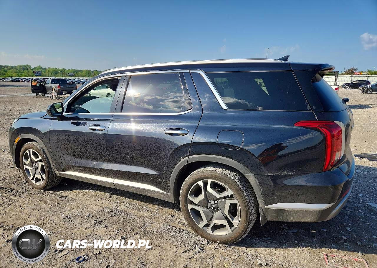 2025 Hyundai Palisade Sel Premium VIN:KM8R4DGE0SU834443 - 2