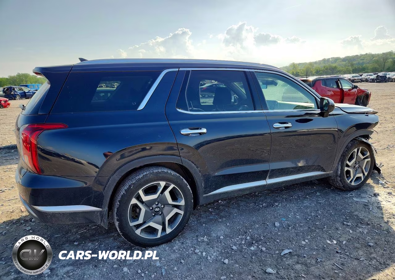 2025 Hyundai Palisade Sel Premium VIN:KM8R4DGE0SU834443 - 3
