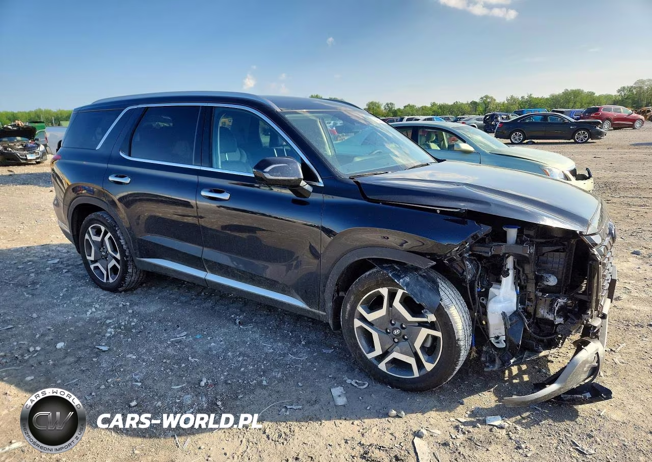 2025 Hyundai Palisade Sel Premium VIN:KM8R4DGE0SU834443 - 4