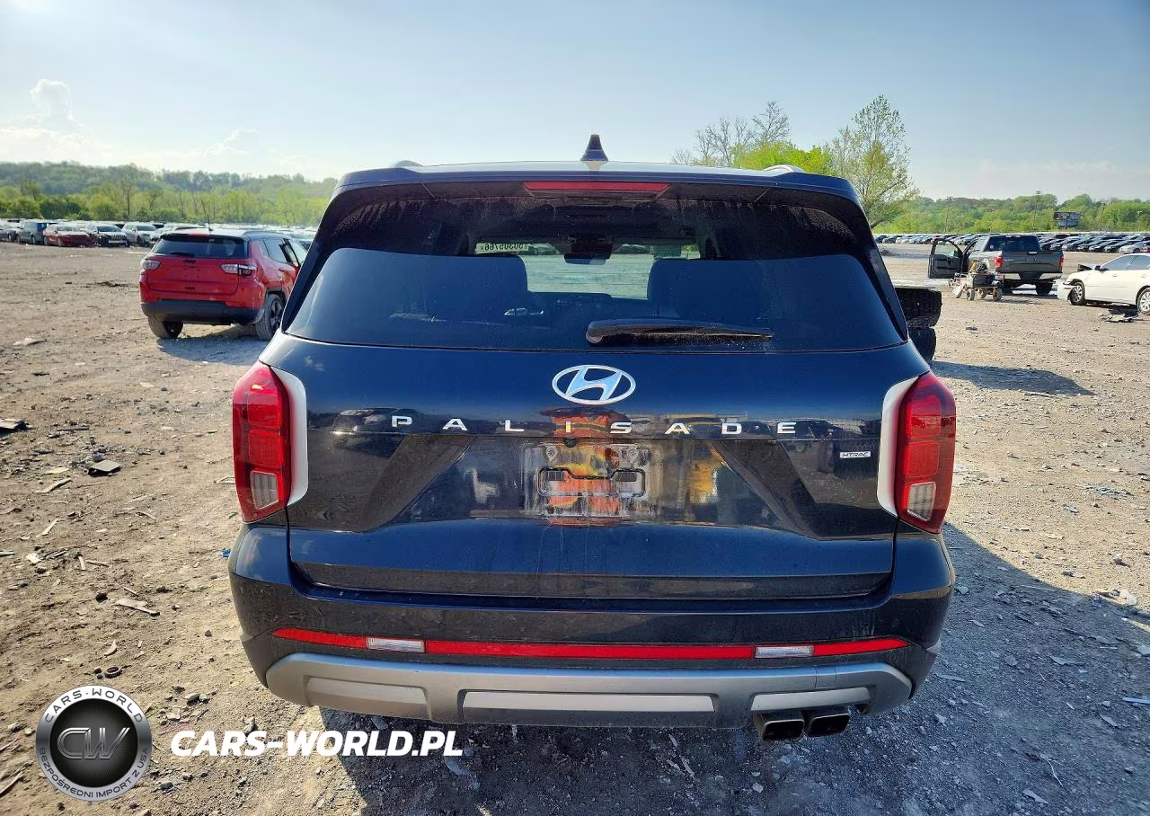2025 Hyundai Palisade Sel Premium VIN:KM8R4DGE0SU834443 - 6