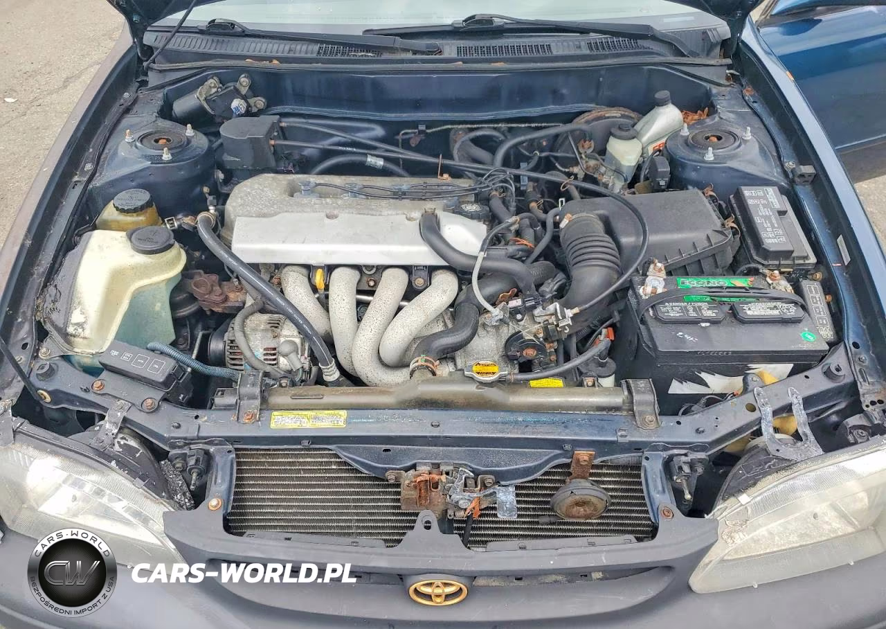 1998 Toyota Corolla Ve VIN:2T1BR18E1WC074191 - 11